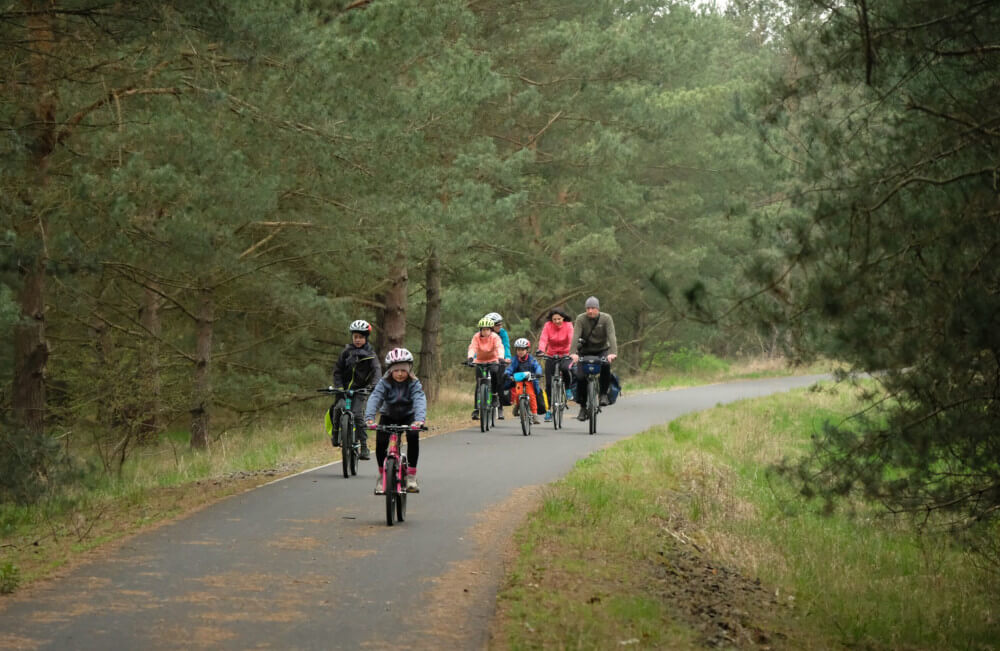 Rodzina na rowerach jedzie asfaltowym odcinkiem przez las.