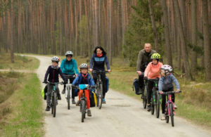 Rodzina na rowerach jedzie lesnym duktem. Wokół nich sosny.