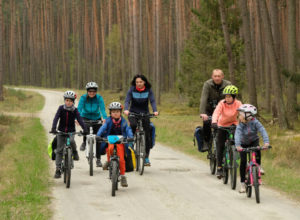 Rodzina na rowerach jedzie lesnym duktem. Wokół nich sosny.