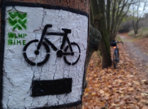 Symbol szlaku rowerowego na drzewie - na białym kwadracie otoczonym czarną ramką, znak roweru.